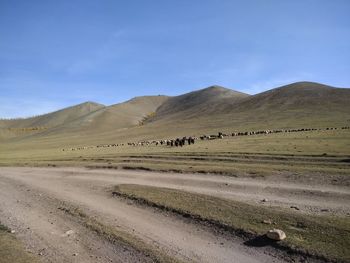 Scenic view of landscape against sky