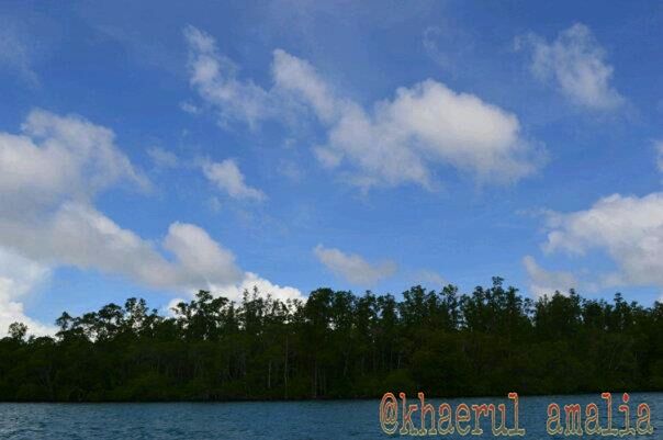 tree, sky, tranquility, tranquil scene, water, scenics, nature, lake, beauty in nature, cloud - sky, growth, cloud, river, idyllic, day, landscape, outdoors, non-urban scene, cloudy, no people