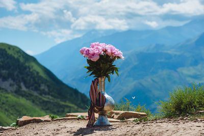 Rear view of woman standing on mountain against sky