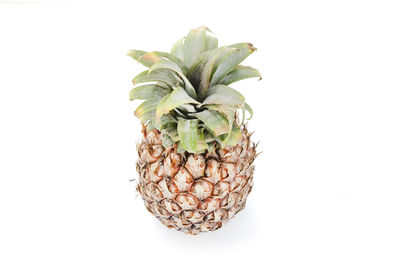 Close-up of fruits against white background