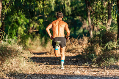 Rear view of shirtless man standing on land