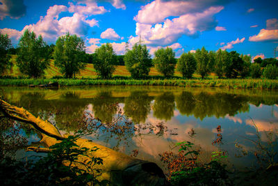 Scenic view of lake in forest against sky