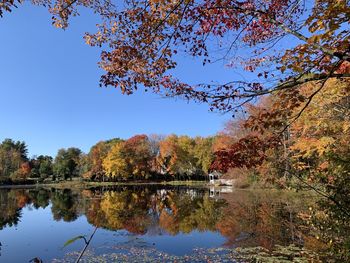 Reflection of trees in lake against sky