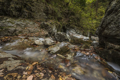 Stream flowing through rocks in forest