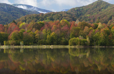 Scenic view of lake by trees against sky