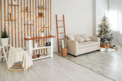 Potted plant on table at home