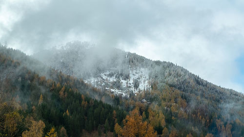 Panoramic view of trees and mountains against sky