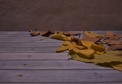 Close-up of dry leaves on wood