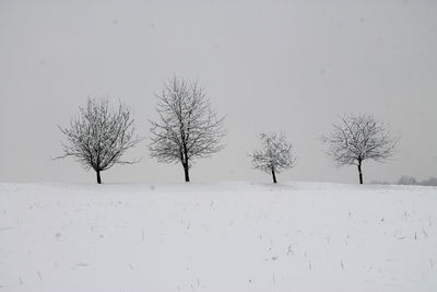 Bare trees on snow covered landscape against sky