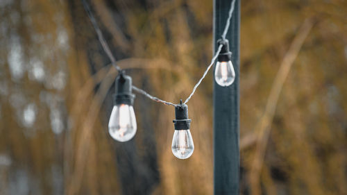 Close-up of light bulb hanging on rope