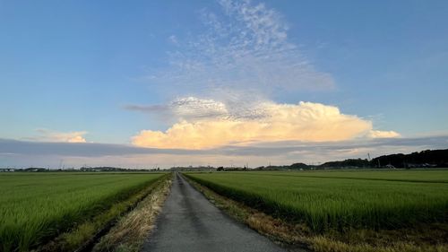 Empty road amidst field against sky