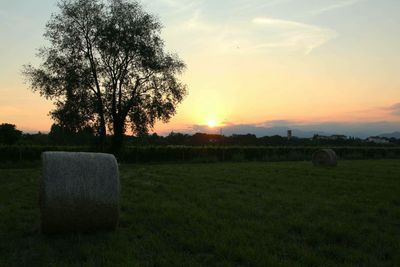 Scenic view of grassy field against sky at sunset