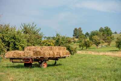 Hay bales on field against sky