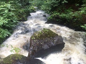 Stream flowing through rocks