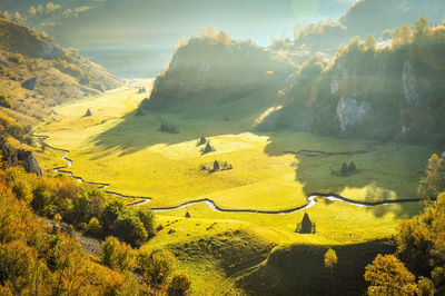 High angle view of trees on landscape