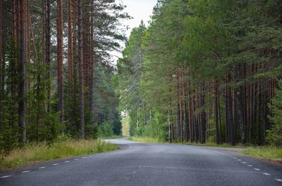 Road amidst trees in forest