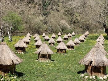 Panoramic view of sheep on field