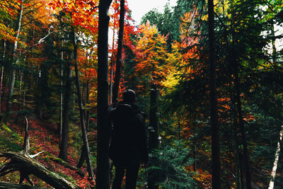 Rear view of man amidst trees in forest during autumn