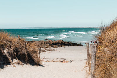 Scenic view of beach against clear sky
