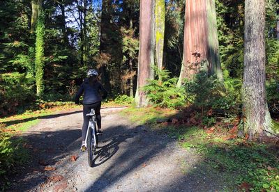 Man riding bicycle in forest