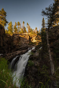 Stream flowing through rocks in forest against sky