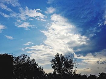 Low angle view of silhouette trees against blue sky