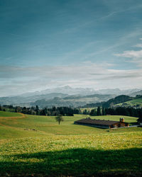 Scenic view of field against sky