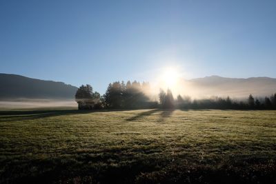 Scenic view of field against clear sky