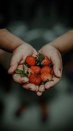 Cropped hand holding strawberries