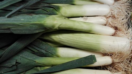 High angle view of vegetables