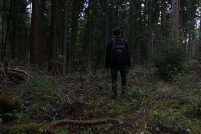 Full length of woman standing on tree trunk in forest