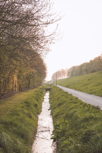 Road amidst trees against clear sky