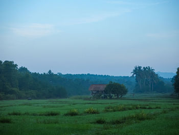 Scenic view of field against sky