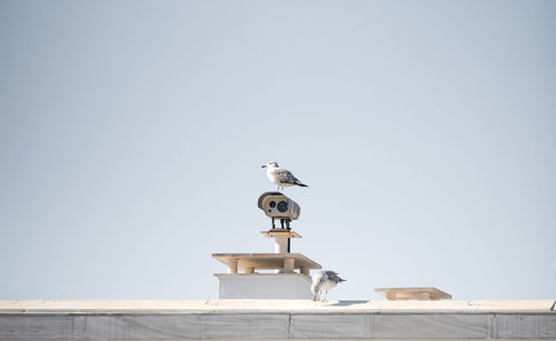 Low angle view of weather vane against clear sky