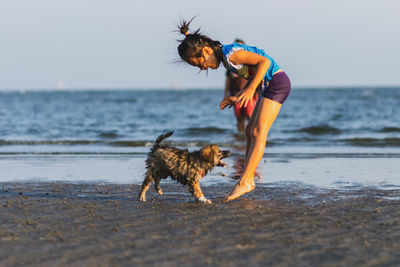 Full length of girl playing with dog at beach