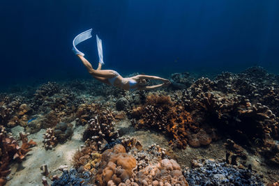 Man swimming in sea