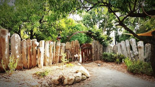 Fence by trees