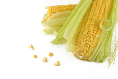 High angle view of food against white background