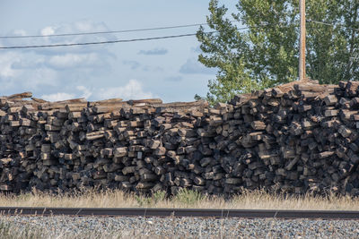 Stack of logs against trees