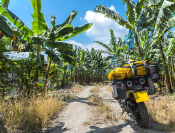 Touring motorbike parked at banana plantation in ecuador