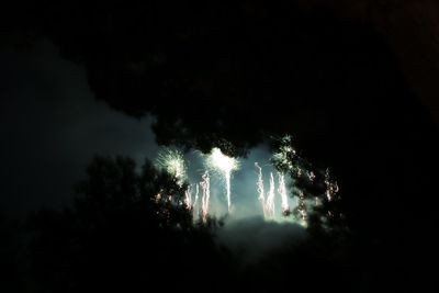 Firework display at night