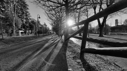 Sunlight falling on footpath amidst trees