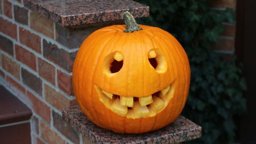 Close-up of pumpkin on stone wall during halloween