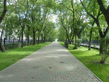 Footpath amidst trees in park