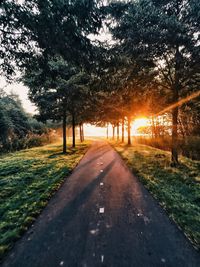 Road amidst trees during sunset 