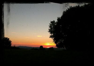 Silhouette of trees at sunset