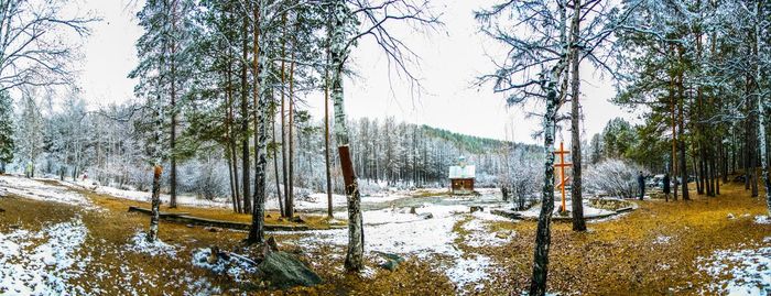 Panoramic shot of trees on field during winter