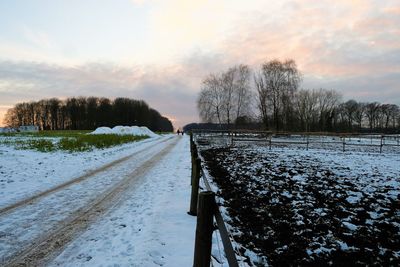 Snow covered plants by trees against sky