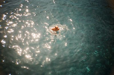 Close-up of insect on wall