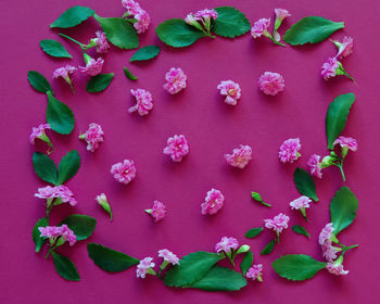 Directly above shot of pink heart shape on white background